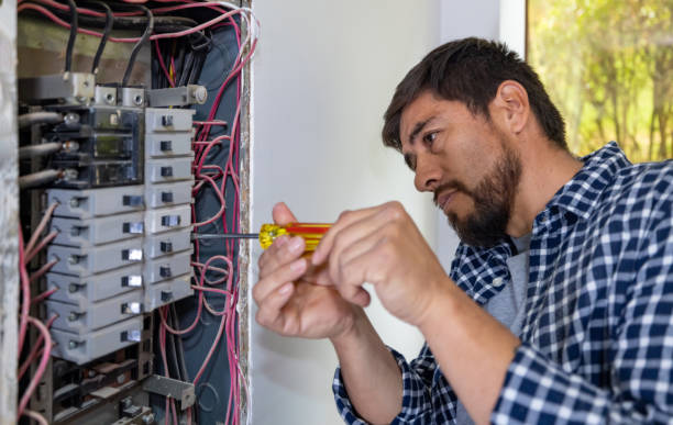 Best Best Electricians Near Me  in Shepherd, MI